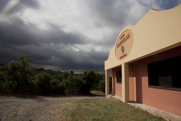 Scansano (Grosseto)